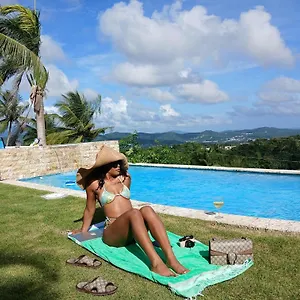 art-retreat-studio-adventures.comcaribbean.com/